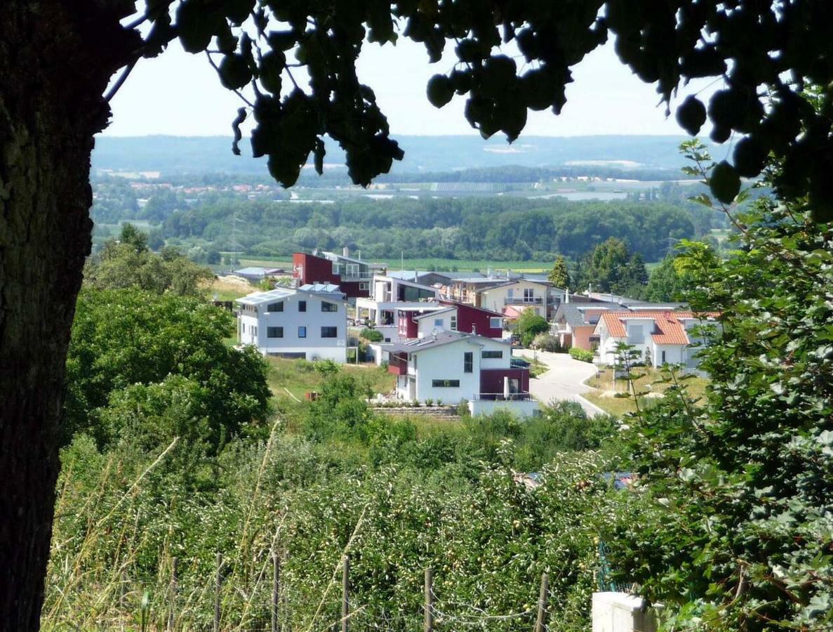 Haus Bodenseeblick Бодман-Лудвигсхафен Екстериор снимка